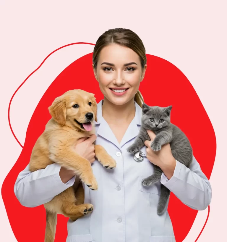castracao-gato-cachorro-aguas-claras (4)